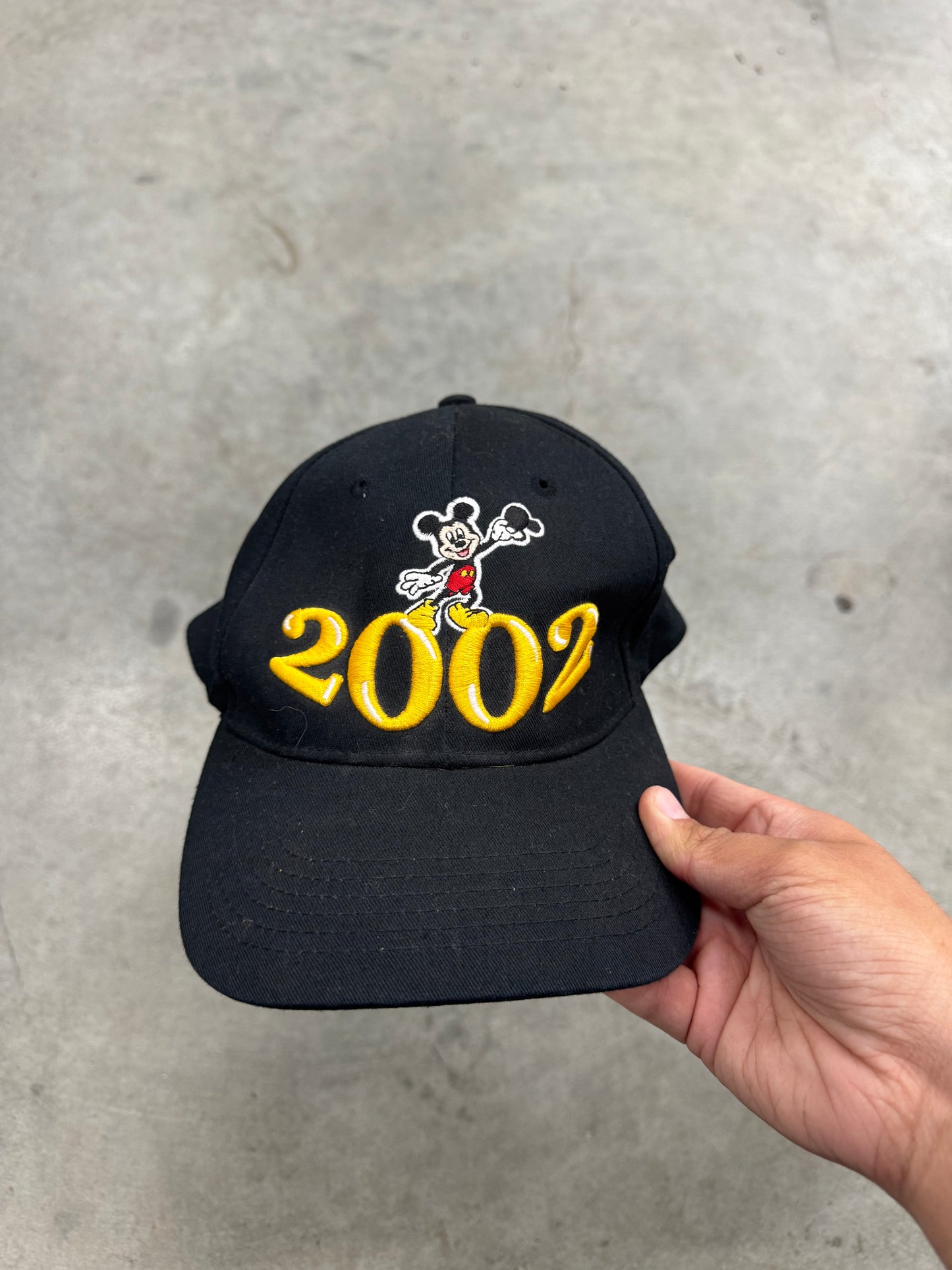 Vintage 2002 Souvenir Cap from Walt Disney World